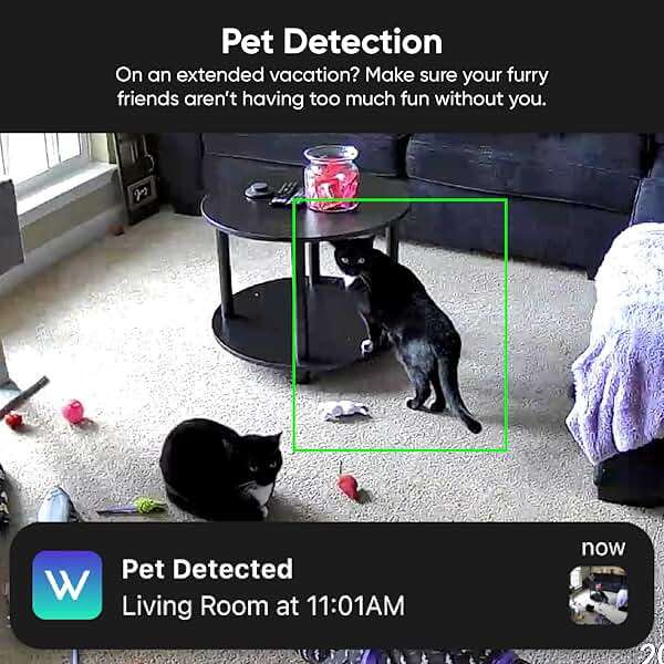 Wyze Security Plan - Cam Unlimited | Unlimited Cameras | 12 months Subscription. Full AI features | Facial Recognition for Friendly Faces | Smart Detection for Person, Pet, Package, Vehicle and Glass Break | Security Surveillance and Monitoring | Rolling 14 Days Event Video Recording | Activation Required | Cancel Anytime - Image 8