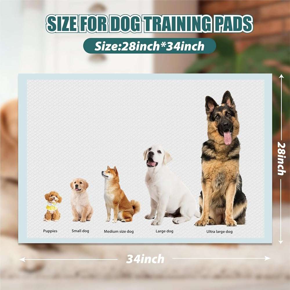 GWT Puppy Pads Extra Large 28x34 Inch - 40 Count Dog Pee Pads, Ultra Absorbent 5-Layer Leak-Proof Potty Training Pads for Dogs, Puppies, Cats & All Pets | XL Disposable Pee Pad Indoor Outdoor Use - Image 2