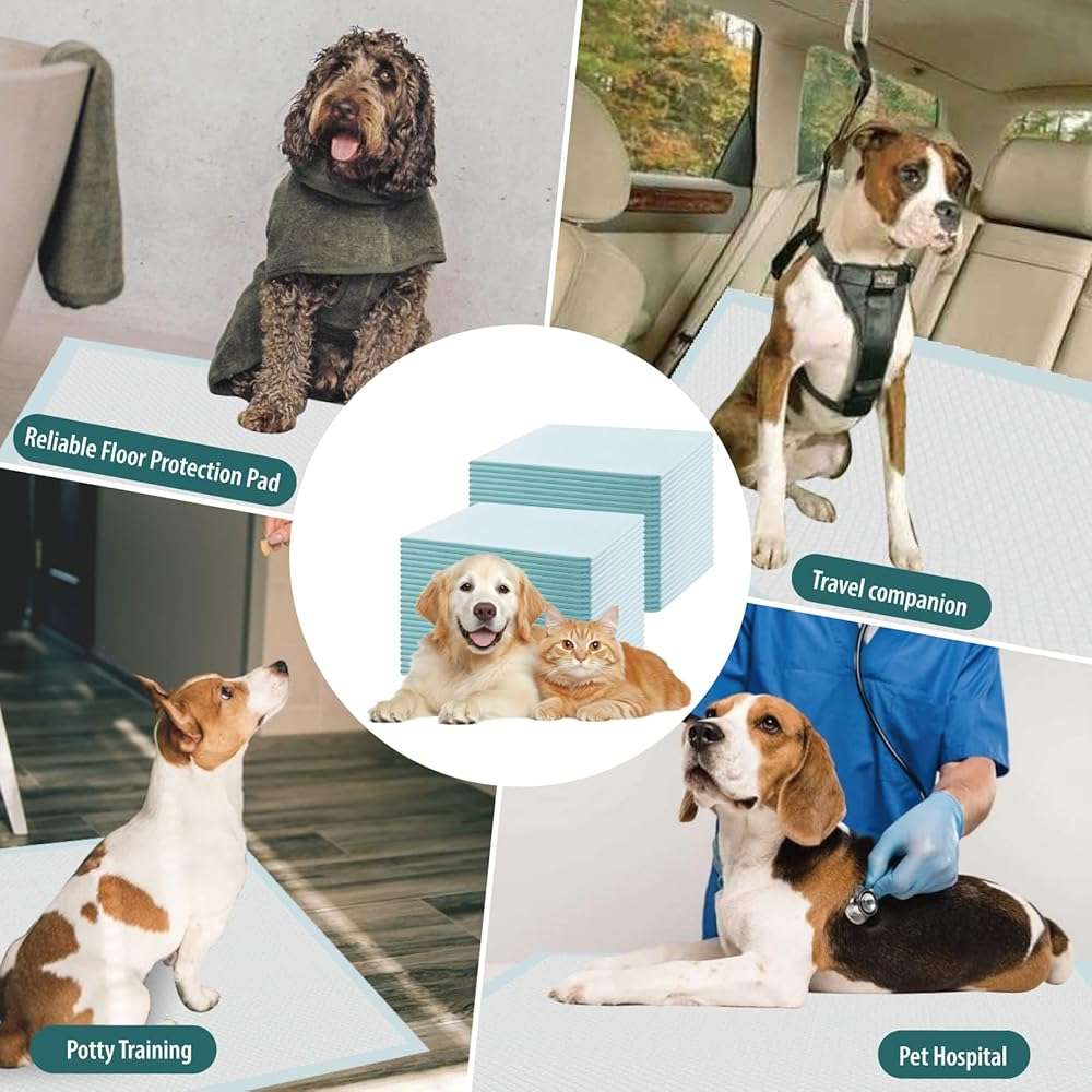 GWT Puppy Pads Extra Large 28x34 Inch - 40 Count Dog Pee Pads, Ultra Absorbent 5-Layer Leak-Proof Potty Training Pads for Dogs, Puppies, Cats & All Pets | XL Disposable Pee Pad Indoor Outdoor Use - Image 7