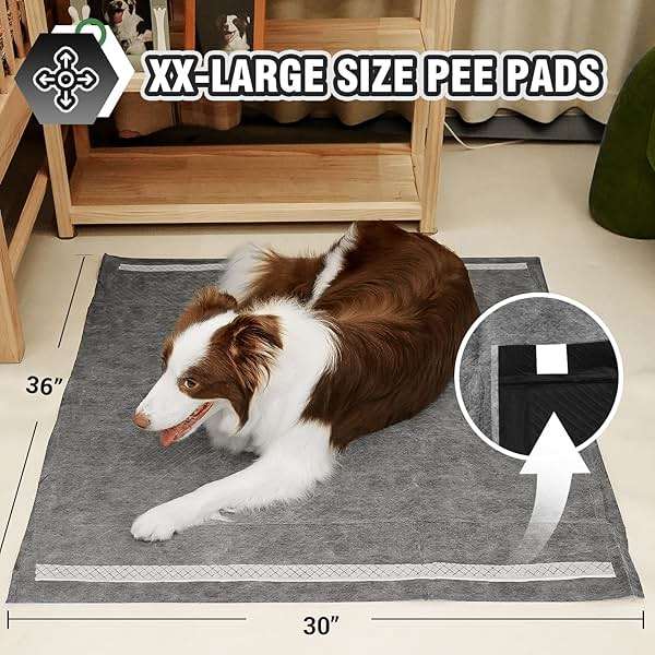 IMMCUTE Dog Pee Pads Extra Large 30"X36", 30 Count, Charcoal Puppy Pads, Absorbent Pads & Fast Drying Potty Pads for Dogs with Adhesive Strip, Disposable Pee Pads , Idea for Pet Training, Jumbo Size - Image 2