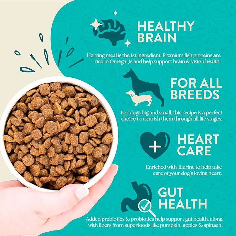 Earthborn Holistic Coastal Catch Herring Meal & Vegetables Grain-Free Dry Dog Food 4 lb - Image 3