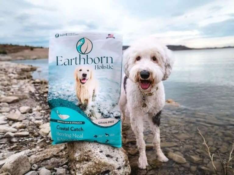 Earthborn Holistic Coastal Catch Herring Meal & Vegetables Grain-Free Dry Dog Food 4 lb - Image 7
