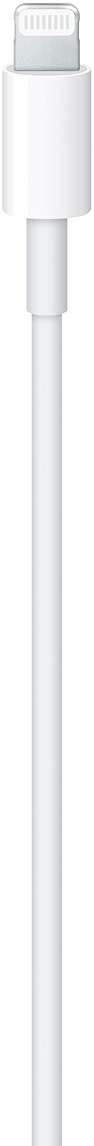 Apple USB-C to Lightning Cable (1 m): Fast and Convenient Charging, Lightning to USB-C or Thunderbolt 3 - Image 3