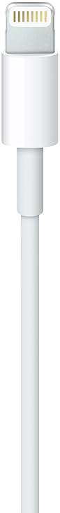 Apple Lightning to USB Cable (1 m) ​​​​​​​ - Image 4