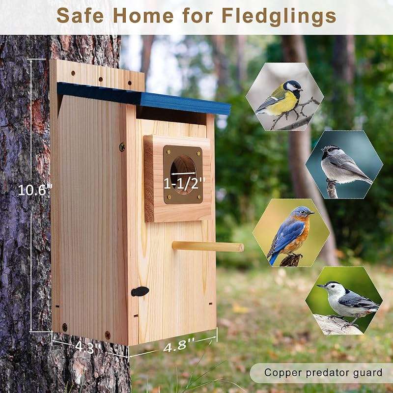 Bird Houses for Outside 2Pack with Copper Guard,Thicken Wooden Bluebird House Clearance Garden Country Cottages, Nesting Box for Finch Swallow Wren Chickadee Wild Bird Supplies, Easy to Assemble - Image 4
