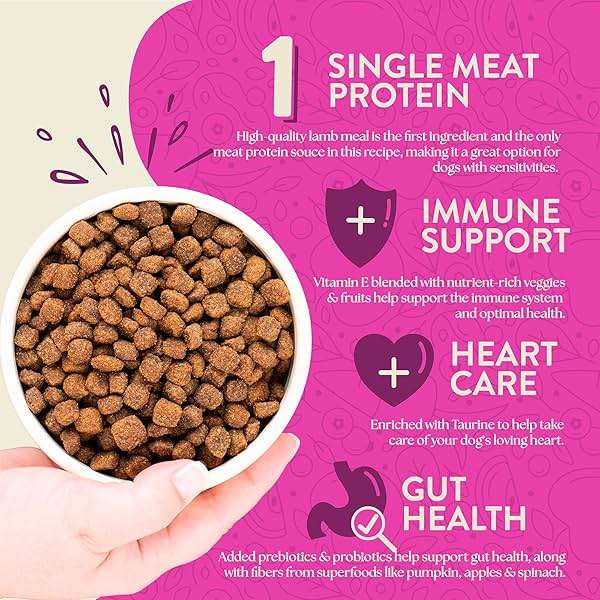 Earthborn Holistic Meadow Feast Lamb Meal & Vegetables Grain-Free Dry Dog Food 4 lb - Image 3