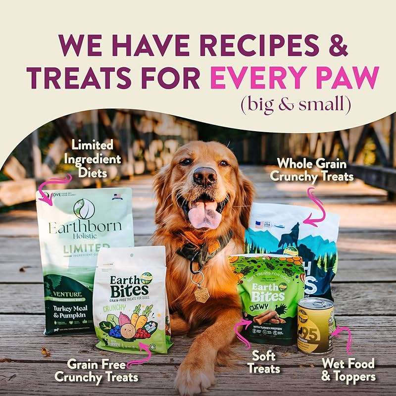 Earthborn Holistic Meadow Feast Lamb Meal & Vegetables Grain-Free Dry Dog Food 4 lb - Image 6