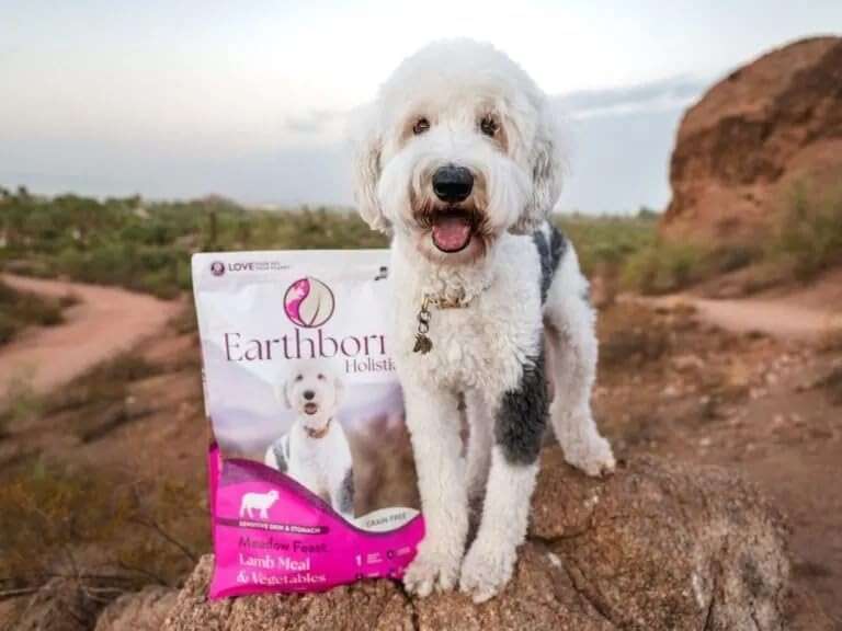Earthborn Holistic Meadow Feast Lamb Meal & Vegetables Grain-Free Dry Dog Food 4 lb - Image 7