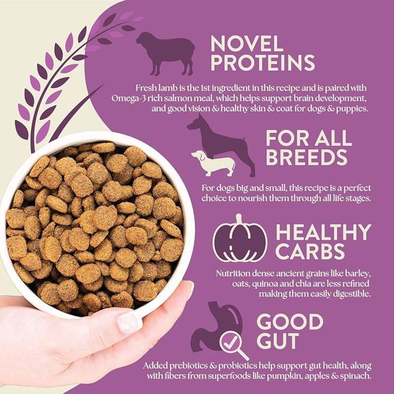 Earthborn Holistic Unrefined Roasted Lamb Recipe with Ancient Grains & Superfoods Dry Dog Food (4 Pounds) - Image 3
