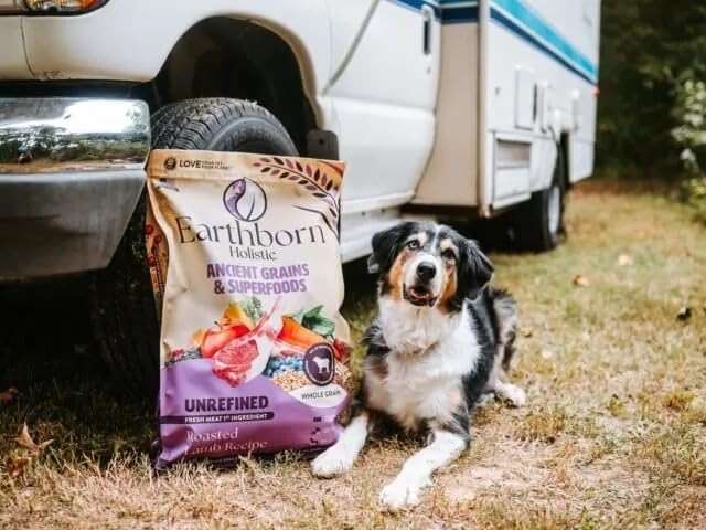 Earthborn Holistic Unrefined Roasted Lamb Recipe with Ancient Grains & Superfoods Dry Dog Food (4 Pounds) - Image 6