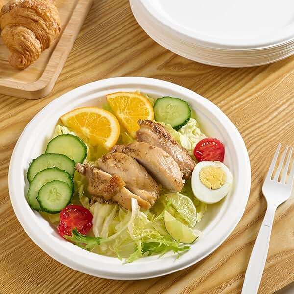 Vplus 500 Pack Paper Plates 9 inch 100% Compostable, Heavy-Duty Disposable Paper Plates Bagasse Natural Biodegradable Eco-Friendly Sugarcane（White） - Image 2