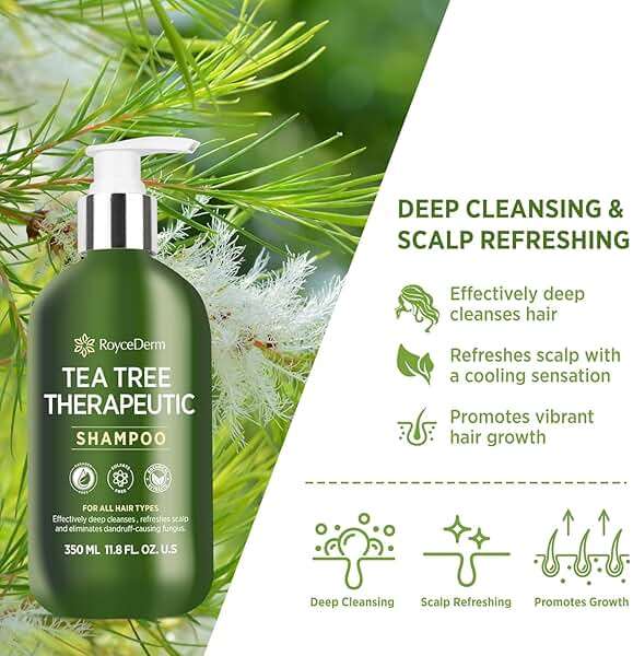 Roycederm Tea Tree Antifungal Shampoo: Folliculitis Shampoo for Dry Scalp, Dandruff, and Itchy Scalp - Medicated Clarifying shampoo with Tea Tree Oil, Paraben & Sulfate Free - Image 2