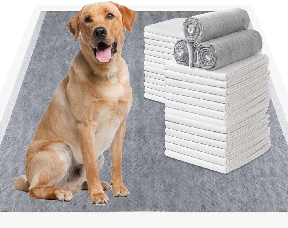 TinyWiz Dog Pee Pads Odor-Control Super Absorbent Charcoal Potty Training | extra large pee pads xxl, disposable urine bed pads for odor-control, training liners for housebreaking puppy pads 30 pcs - Image 1