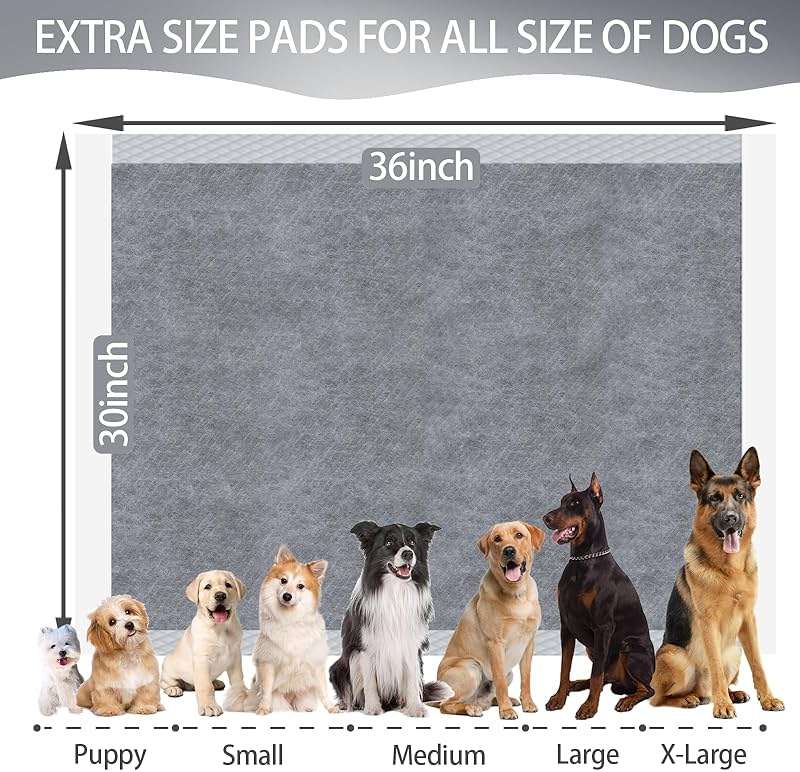 TinyWiz Dog Pee Pads Odor-Control Super Absorbent Charcoal Potty Training | extra large pee pads xxl, disposable urine bed pads for odor-control, training liners for housebreaking puppy pads 30 pcs - Image 2