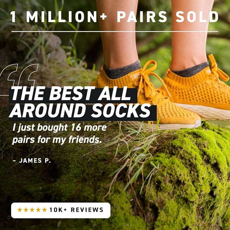 HOLLOW Alpaca No Show Socks for Men and Women, 4 Pack, Moisture Wicking Alpaca Socks for Hiking, Running, Outdoors, Any Season No Show Sock, Temperature Regulating, Light Compression, XLarge, Black - Image 3