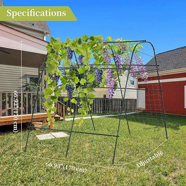 IDEA FAMILY Cucumber Trellis for Raised Bed 67" x 67" U-Frame Garden Arch Tunnel with Netting Vegetable Fruit Flower Lightweight Metal Plant Support for Climbing Plants Outdoor,Black - Image 3