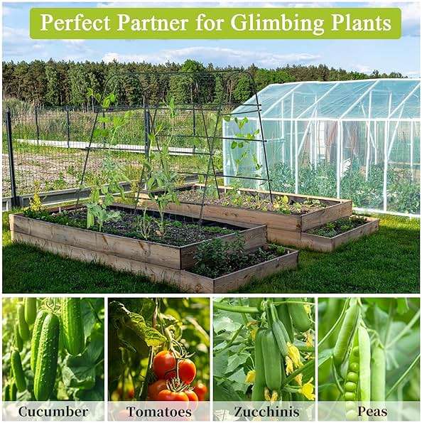 IDEA FAMILY Cucumber Trellis for Raised Bed 67" x 67" U-Frame Garden Arch Tunnel with Netting Vegetable Fruit Flower Lightweight Metal Plant Support for Climbing Plants Outdoor,Black - Image 5