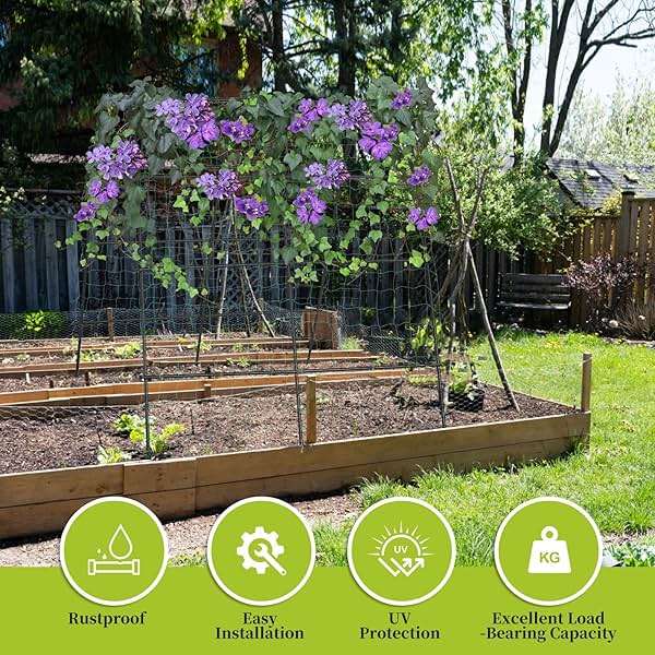 IDEA FAMILY Cucumber Trellis for Raised Bed 67" x 67" U-Frame Garden Arch Tunnel with Netting Vegetable Fruit Flower Lightweight Metal Plant Support for Climbing Plants Outdoor,Black - Image 7