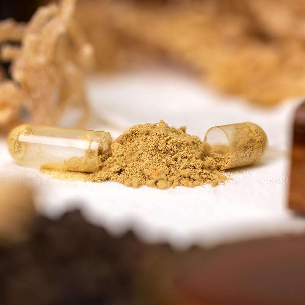 PRIME NATURAL Sea Moss 300mg Black Seed Oil 200mg Ashwagandha 100mg Turmeric Bladderwrack Burdock Manuka Honey Dandelion ACV - 120 Capsules | 60 Days Supply | Vegan - Image 6