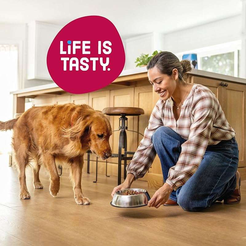 Kibbles 'n Bits Bistro Dry Dog Food, Oven Roasted Beef, Spring Vegetable & Apple Flavors for Adult Dogs, 45 lb. Bag - Image 6