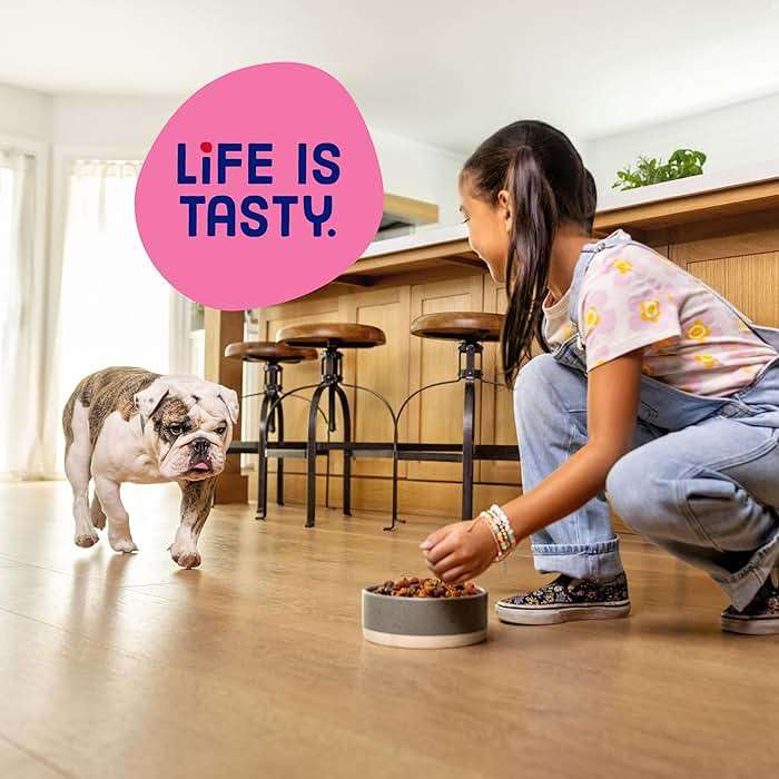 Kibbles 'n Bits Mini Bits Small Breed Dry Dog Food, Savory Bacon & Steak Flavor for Adult Dogs, 3.5 lb. Bag - Image 6