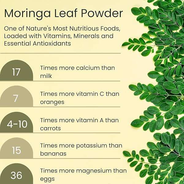 Vegs Moringa Powder, The Real Green Freeze Dried Moringa Leaves Organic, Rich Antioxidants, Amino Acids & Nutrients Dense - Native Single Origin, Premium Harvest Moringa Oleifera Leaf Powder, 8 oz - Image 7