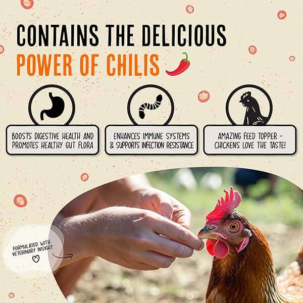 Roosty's Naturals Flock Armor - Chicken De-Wormer Powder - Chili Mix | XL 1LB Pouch | All-Natural Formula | US-Made Chicken Wormer - 16oz Bag - Image 3
