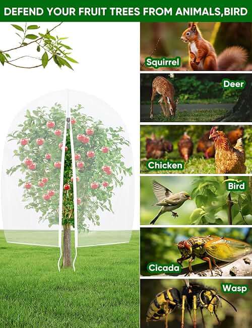 Fruit Tree Netting for Cicadas - with Zipper 4Pcs 5 x 4FT Garden Bird Netting for Blueberry Bushes with Drawstring,Insect Plant Protection Mesh Net Bags for Tomato,Cicada,Animals (4, 4 x 5 FT) - Image 3