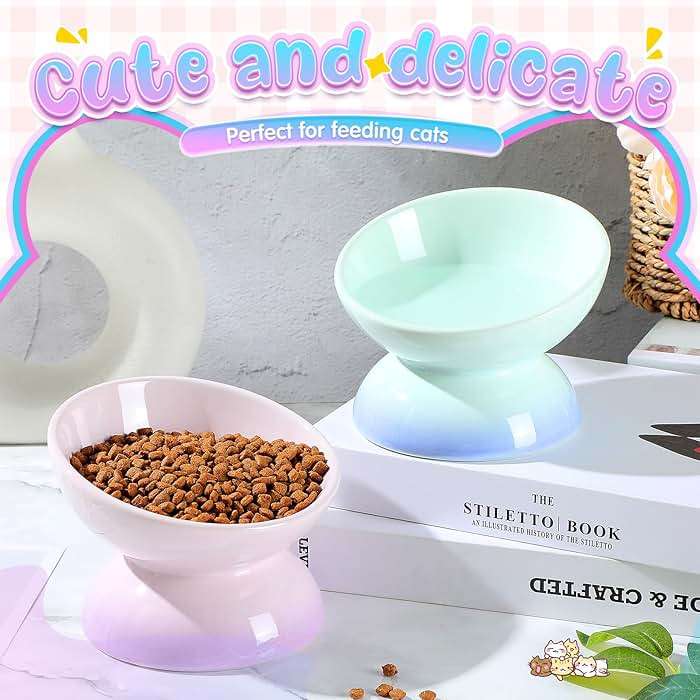 Hushee 2 Pcs Elevated Cat Food Bowl Ceramic 15 Degree Raised Cat Water Bowl 4 oz Slanted Tilted Anti Vomiting for Kitten Small Dogs Pet, Dishwasher Microwave Safe - Image 2