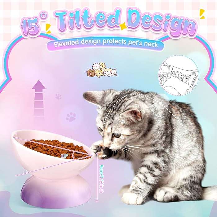 Hushee 2 Pcs Elevated Cat Food Bowl Ceramic 15 Degree Raised Cat Water Bowl 4 oz Slanted Tilted Anti Vomiting for Kitten Small Dogs Pet, Dishwasher Microwave Safe - Image 5