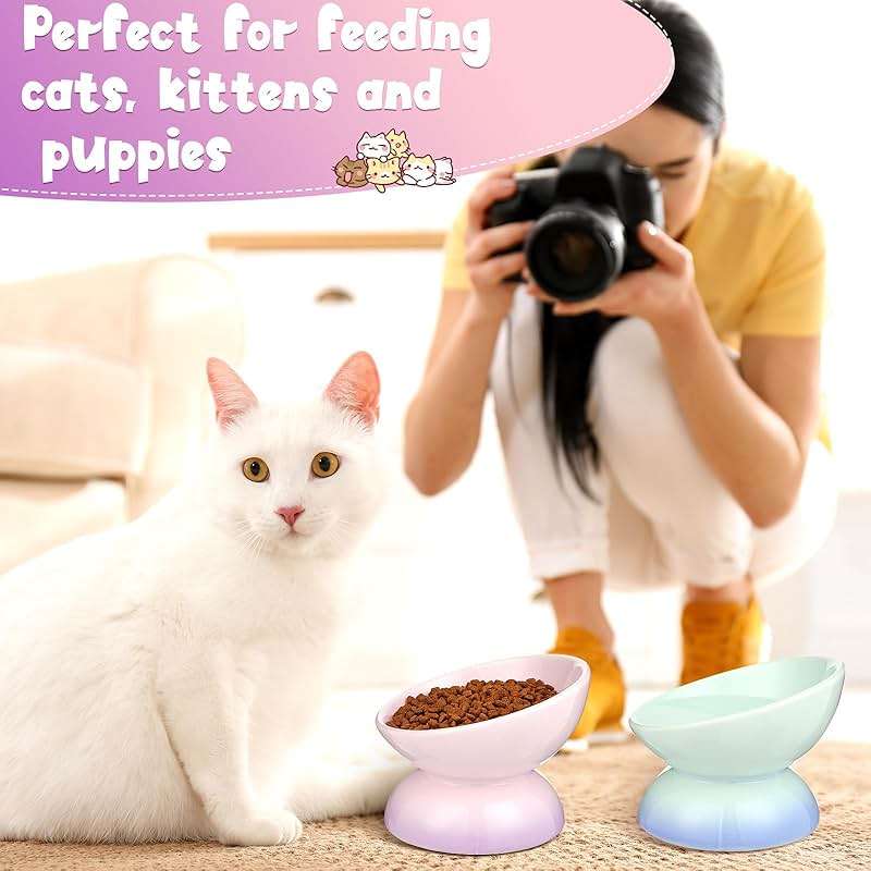 Hushee 2 Pcs Elevated Cat Food Bowl Ceramic 15 Degree Raised Cat Water Bowl 4 oz Slanted Tilted Anti Vomiting for Kitten Small Dogs Pet, Dishwasher Microwave Safe - Image 6