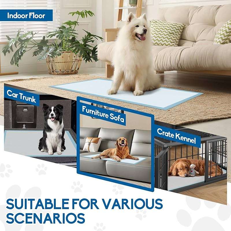 ASIVZLOW 40 Count 24"X24" Disposable Puppy Pads Super Absorbent &Leak-Proof Quick-Dry Underpads for Baby Adults Elder Large Pee Pads for Dogs Deodorant 6-Layer Cat Wee Wee Pads Training Pads - Image 7