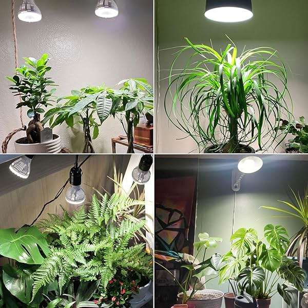 SANSI Dimmable Grow Light Bulb, Full Spectrum with Remote Control, Auto On Off Timing 4 8 12 Hrs, 5W PAR20 (75 Watt Equiv) Grow Lamp with Optical Lens for High PPFD, Energy Saving for Indoor Plants - Image 7