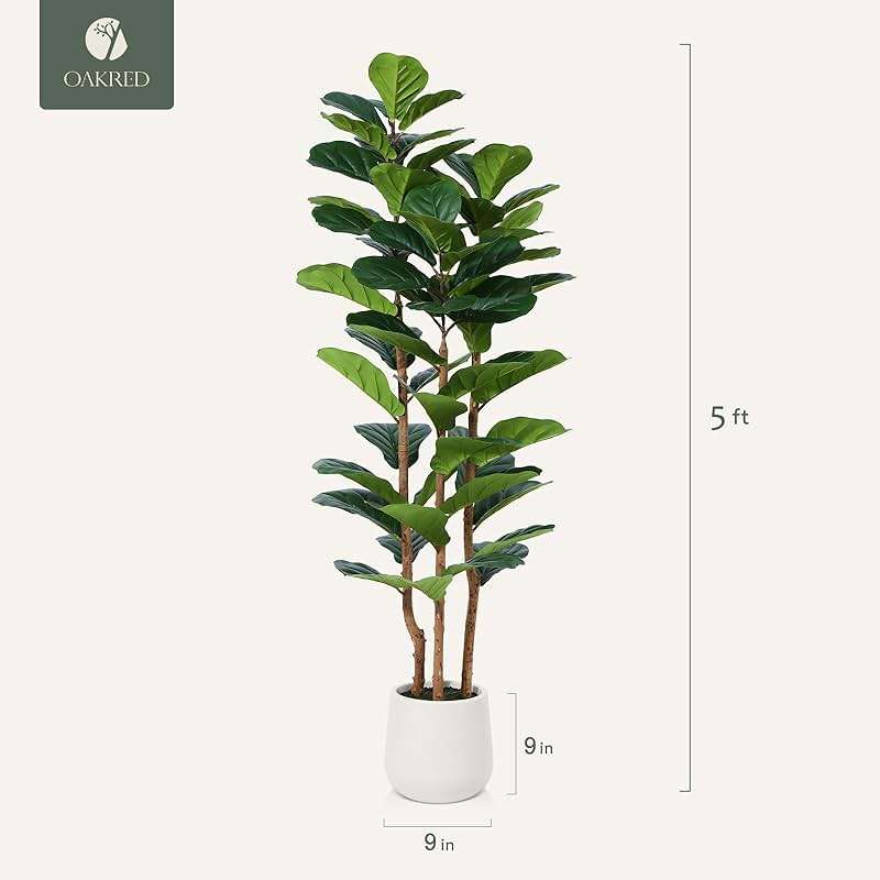OAKRED Artificial Fiddle Leaf Fig Tree with White Planter,5ft Tall Fake Tree with Natural Wood Trunk for Home Decor, Faux Ficus Tree Fake Moss for Indoor Office Living Room - Image 3