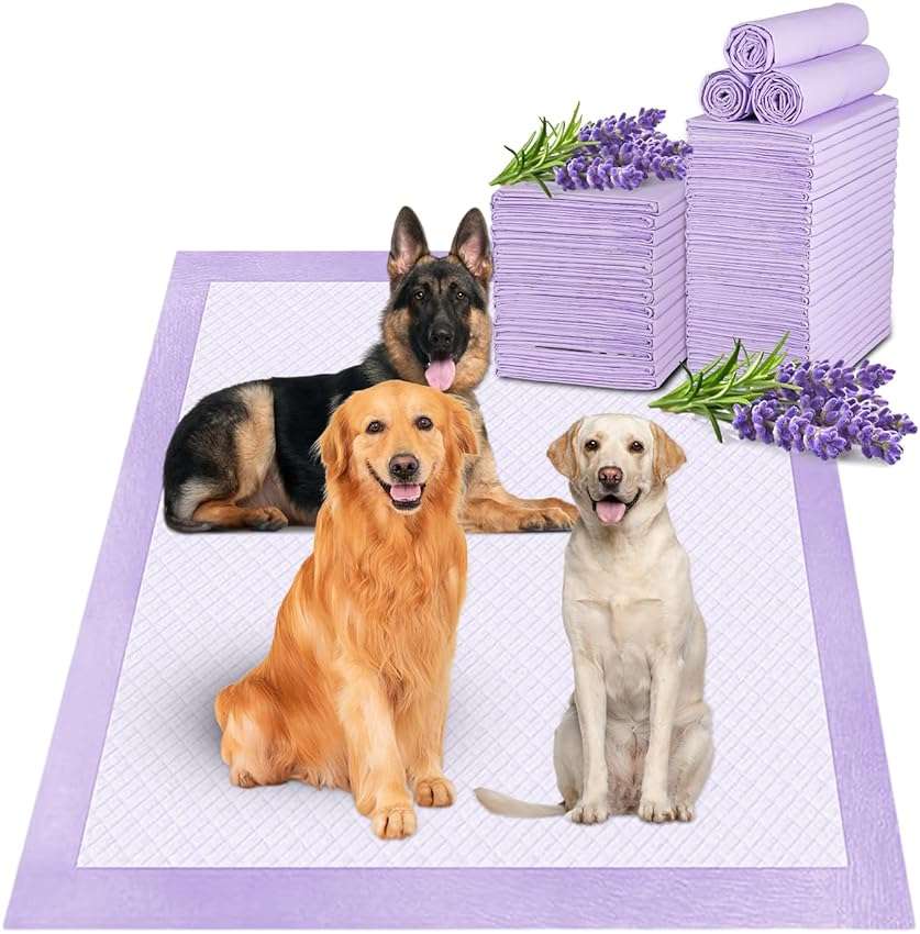 Boscute Lavender Scented Super Absorbent & Leak-Proof Puppy Pads, 36"x36" Odor Control Pet Training Dog Pee Pads, Thicken Quick Dry Pee Pads, Potty Training Pads for Dogs Cats (Lavender Scented) - Image 1