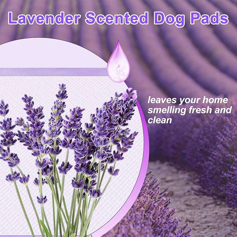 Boscute Lavender Scented Super Absorbent & Leak-Proof Puppy Pads, 36"x36" Odor Control Pet Training Dog Pee Pads, Thicken Quick Dry Pee Pads, Potty Training Pads for Dogs Cats (Lavender Scented) - Image 2