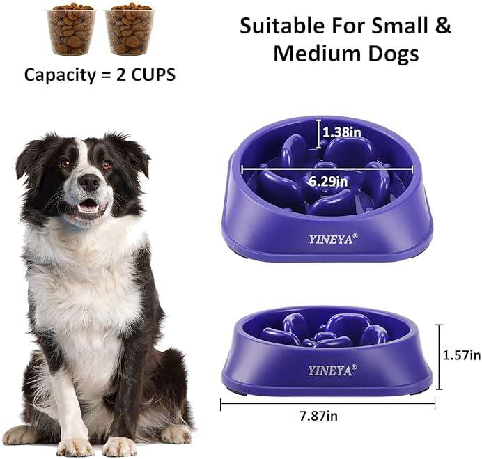 YINEYA Slow Feeder Dog Bowls, Pet Supplies That Slow Down Eating, Pet Food Bowls, Maze Dog Puzzle Feeder for Medium Breed - Image 5
