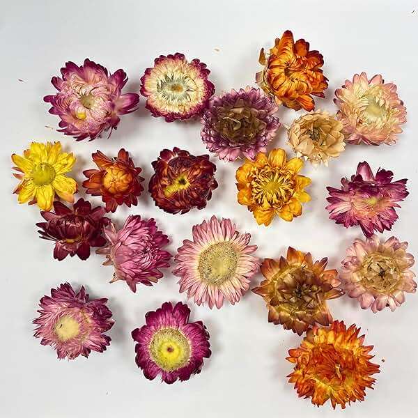 Food Grade Dried Mixed Flowers | 20+ Flowers | 100% Natural | Dried Flowers | Cocktail Toppers | for Garnishing Cocktails, Cake Decoration, Tea Infusions | 20 Grams, 0.7 oz | Drink Botanicals Ireland - Image 5