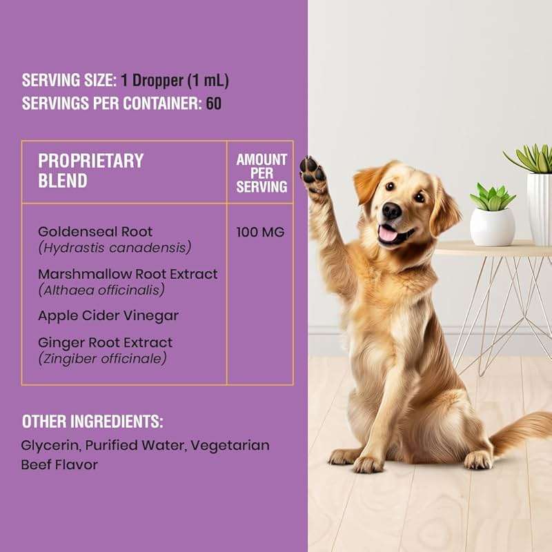 Natural Yeast Infection Relief for Dogs – Itchy Skin & Ear Treatment, Supports Allergy & Immune Health, Reduces Itching, Irritation & Inflammation, Liquid Drops, 2oz - Image 6