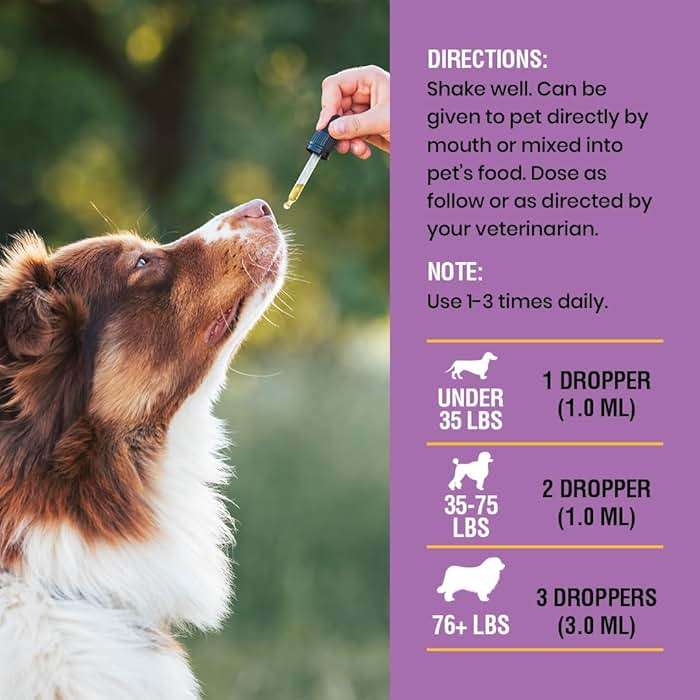 Natural Yeast Infection Relief for Dogs – Itchy Skin & Ear Treatment, Supports Allergy & Immune Health, Reduces Itching, Irritation & Inflammation, Liquid Drops, 2oz - Image 7