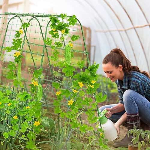 FOLLOOK Cucumber Trellis for Raised Garden Bed, Rustproof Metal Garden Arch Trellis for Climbing Plants Support Outdoor Fruit Grape Vine Vegetable Tomato Bean Pea Trellis, 63x48inch, Green - Image 2