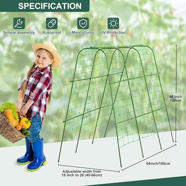 FOLLOOK Cucumber Trellis for Raised Garden Bed, Rustproof Metal Garden Arch Trellis for Climbing Plants Support Outdoor Fruit Grape Vine Vegetable Tomato Bean Pea Trellis, 63x48inch, Green - Image 3