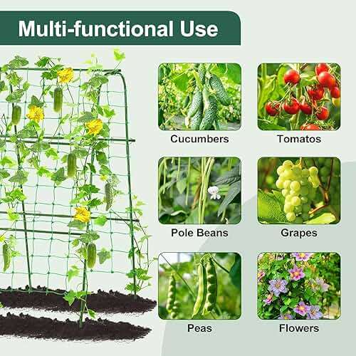 FOLLOOK Cucumber Trellis for Raised Garden Bed, Rustproof Metal Garden Arch Trellis for Climbing Plants Support Outdoor Fruit Grape Vine Vegetable Tomato Bean Pea Trellis, 63x48inch, Green - Image 4