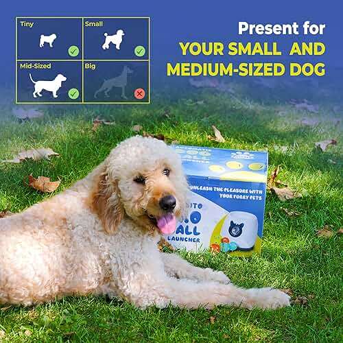 Pawsito Automatic Dog Ball Launcher for Medium and Small Size Dogs, Interactive Fetch Machine for Indoor and Outdoor Play with 10 PCS Latex Balls, Dual Power Mode Ball Thrower, Dog Toy - Image 5