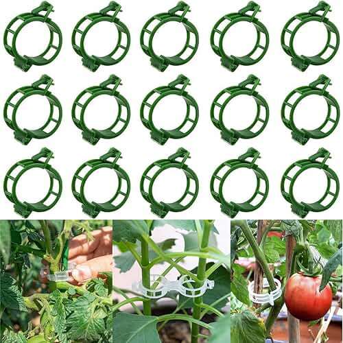 50 PCS plant clips, garden clips for climbing plants, plastic bracket clips，tomato clips，grape，vine，vegetable plant Clamps for climbing plants clear Plants to Grow Upright and make plants Healthier - Image 1