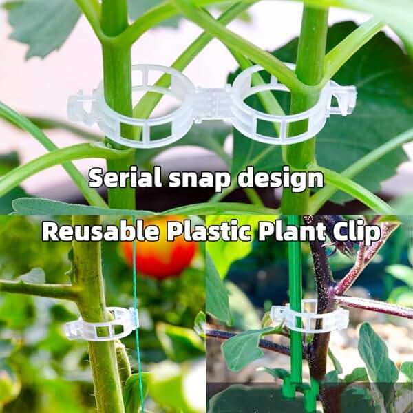 50 PCS plant clips, garden clips for climbing plants, plastic bracket clips，tomato clips，grape，vine，vegetable plant Clamps for climbing plants clear Plants to Grow Upright and make plants Healthier - Image 6