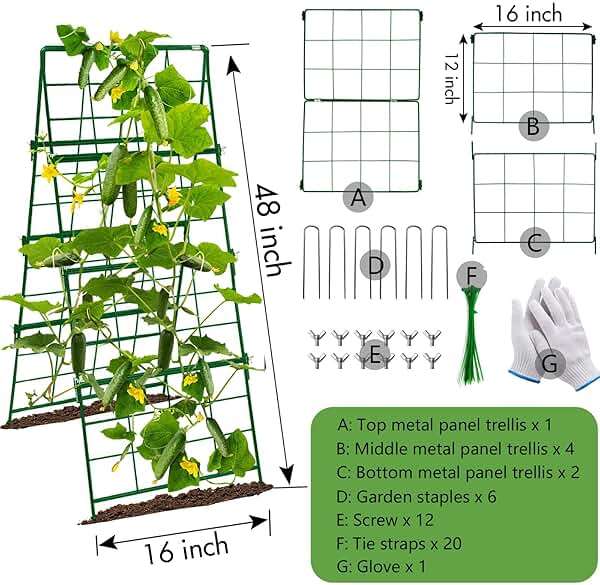 Heavy Duty Cucumber Trellis Thickened for Raised Garden Bed,48"x16" Foldable Frame Metal Vegetable Trellis for Climbing Plants Outdoor Plant Support for Grape Tomato Peas, Fruit, Vine,Bean(1 Pack) - Image 2