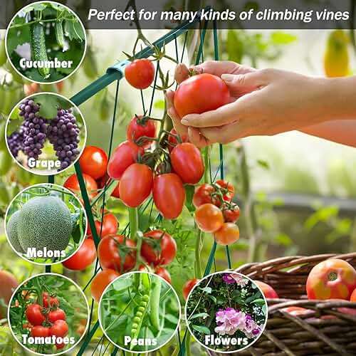 Heavy Duty Cucumber Trellis Thickened for Raised Garden Bed,48"x16" Foldable Frame Metal Vegetable Trellis for Climbing Plants Outdoor Plant Support for Grape Tomato Peas, Fruit, Vine,Bean(1 Pack) - Image 3