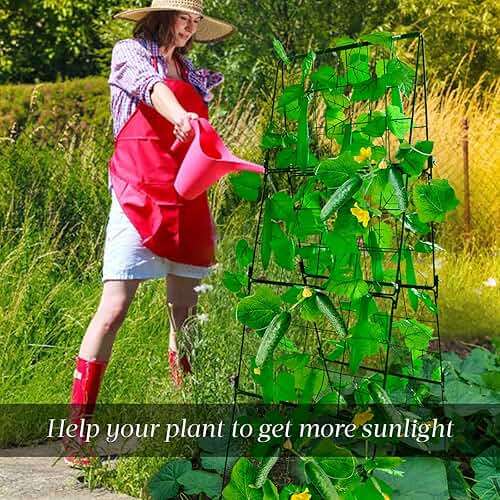 Heavy Duty Cucumber Trellis Thickened for Raised Garden Bed,48"x16" Foldable Frame Metal Vegetable Trellis for Climbing Plants Outdoor Plant Support for Grape Tomato Peas, Fruit, Vine,Bean(1 Pack) - Image 6