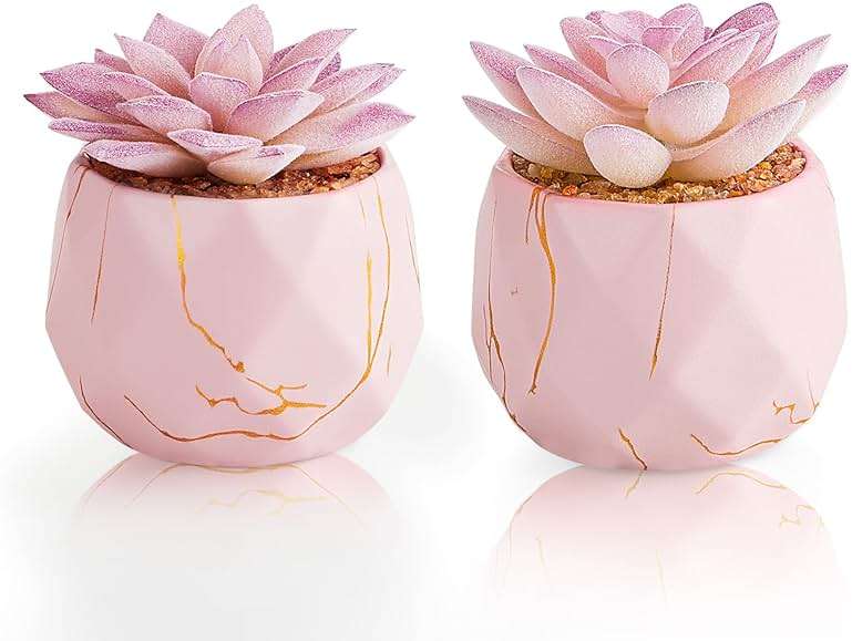ZENIDA Artificial Succulent Plants in 2 Pink Ceramic Pots, Cute Fake Plants for Vanity Decor,Office, Desk, Bathroom, Kitchen,Bedroom, Shelves Decor for Women,Girls Gift - Image 1